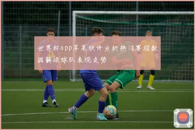 世界杯app苹果软件分析热门赛程数据解读球队表现走势