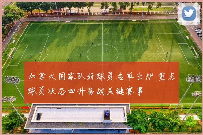 加拿大国家队好球员名单出炉 重点球员状态回升备战关键赛事